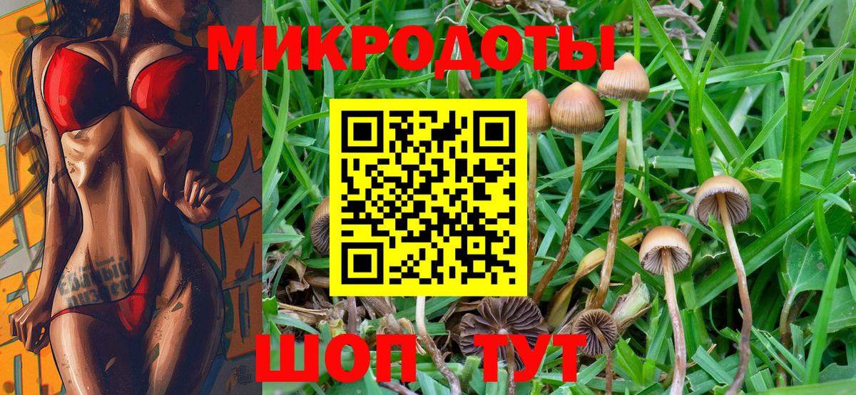 Галлюциногенные грибы MAGIC MUSHROOMS Урюпинск